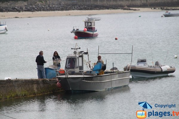 Pêche sur l'ile de Batz