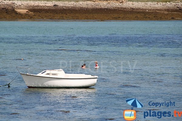 Baignade à Porz Kelvet à Plouguerneau