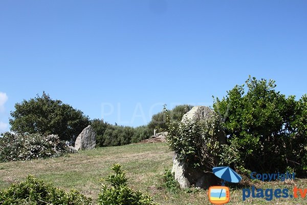 Menhirs à proximité de la crique de Porz Kelvet à Plouguerneau