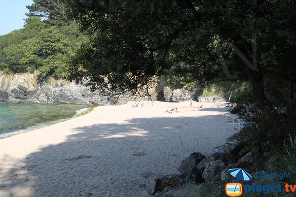 Crique de sable blanc à Plestin-les-Grèves