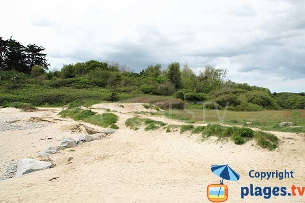 Pelouse autour de la plage de Porz Milin à Locmaria-Plouzané