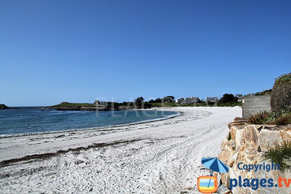 Laisse de mer sur la plage de Porz ar Vilin Vraz à Ploudalmézeau