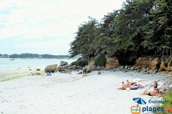 Spiaggia di Poul Feunteun a bassa marea - Kerlouan