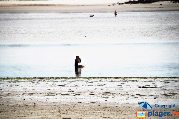 l'estuaire de Tresseny à Kerlouan