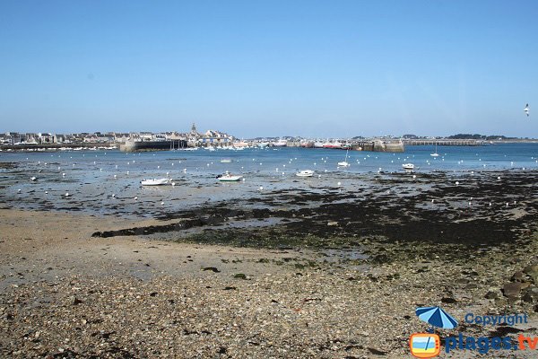 Beach of Poul Louz at low tide - Roscoff