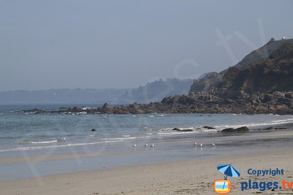 Camping et kiosque à proximité de la plage de Poul Rodou - Locquirec