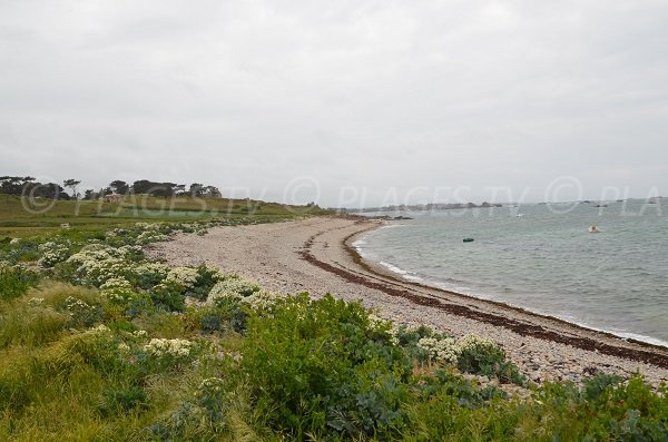 Photo de la plage de Poul Stripo à Plougrescant