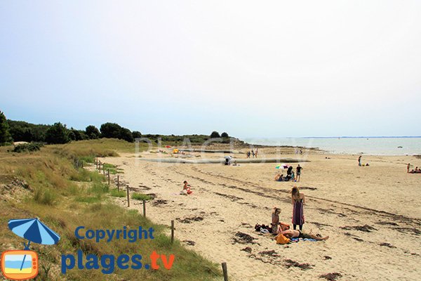 Plage de Poulbert à La Trinité sur Mer