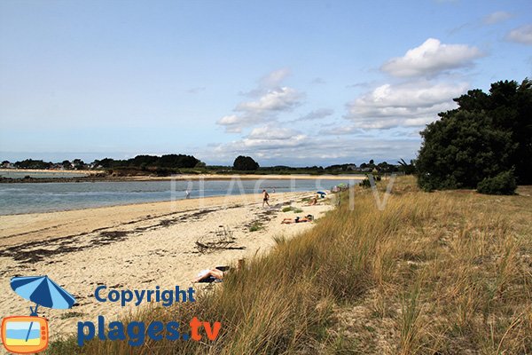 Photo de la plage de Poulbert à La Trinité en été