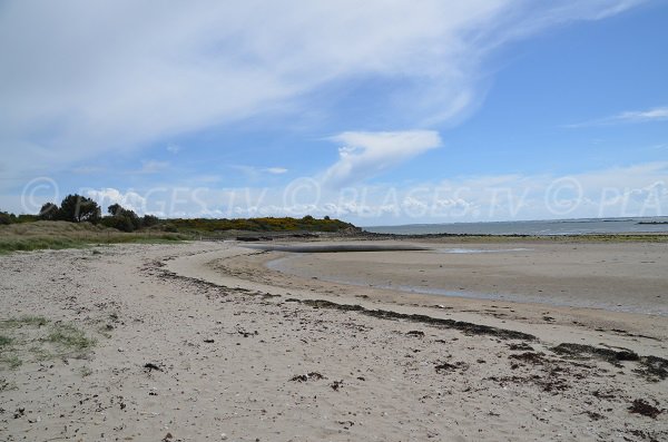 Photo de la plage du Poulbert à La Trinité