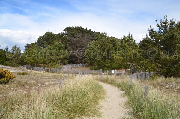 Access to Poulbert beach - La Trinite sur Mer