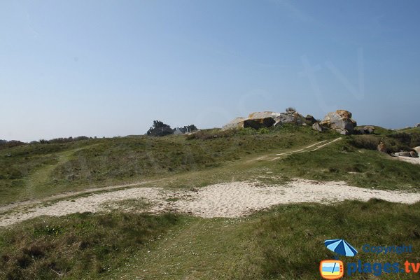 Trails around the port of Poulennou - Cléder