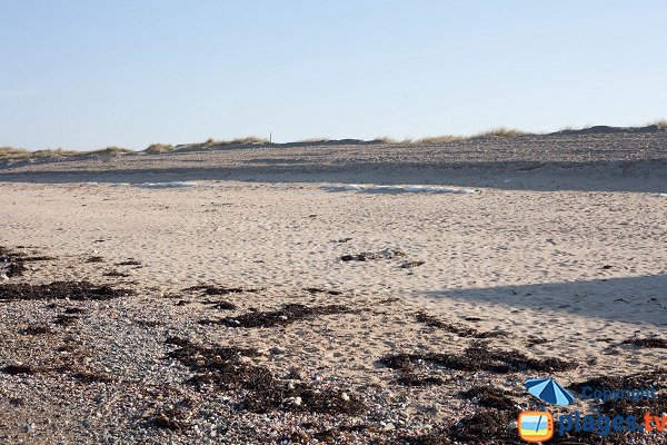 Plage au nord de Coutainville (50)