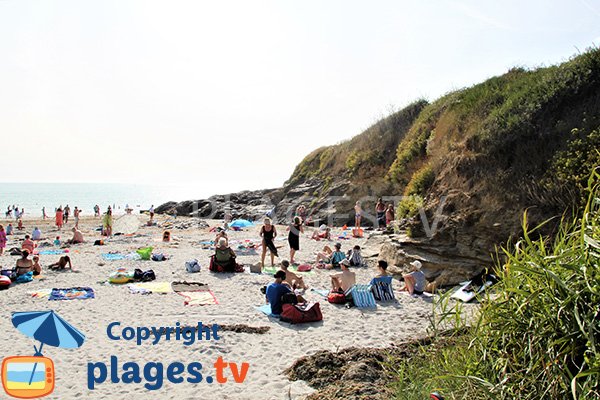 Falaises autour de la plage de Poulgor - presqu'ile de Rhuys