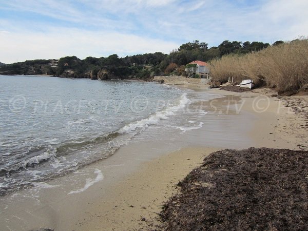 Foto della spiaggia del Pradeau a Giens