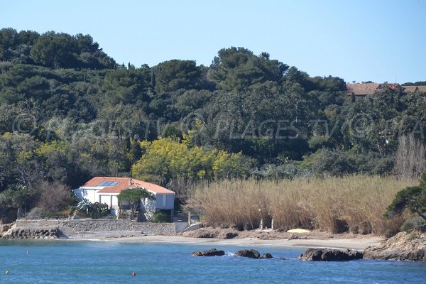 Photo de la plage du Pradeau sur la presqu'ile de Giens