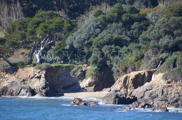 Crique du Pradeau sur la presqu'ile de Giens