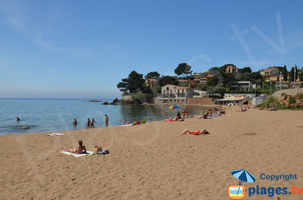 Photo de la plage du Pradon à Carqueiranne