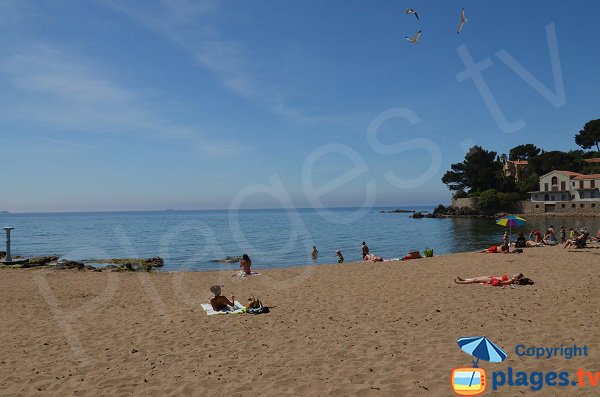 General view of Pradon beach - Carqueiranne