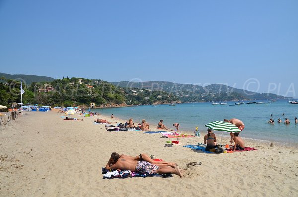 Plage de Rayol Canadel proche du Cap Nègre