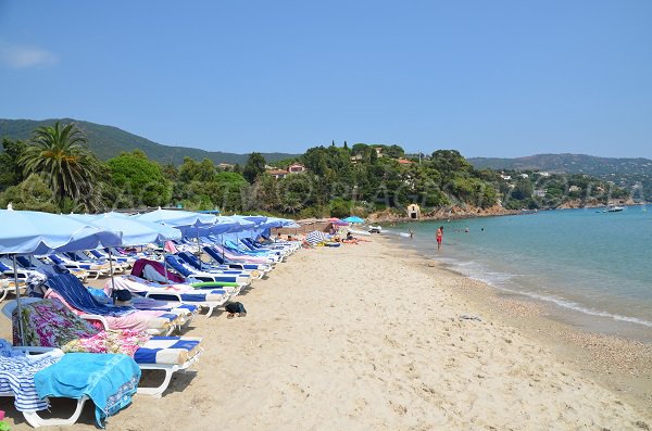 Locations de matelas sur la plage du Pramousquier au Rayol Canadel