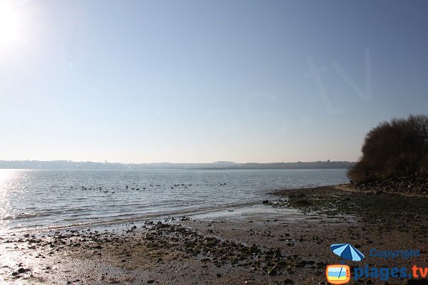 Plage au sud de St Pol de Léon