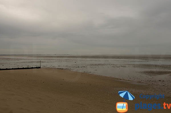 Plage dans la baie de Bourgneuf à marée basse - Moutiers en Retz