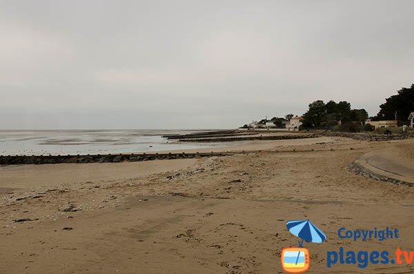 Photo de la plage Pré Vincent à Moutiers en Retz