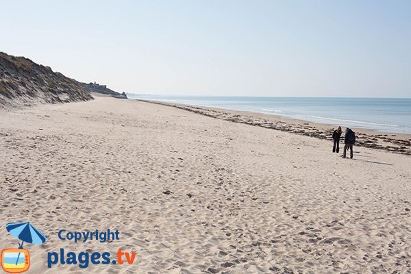 Photo de la plage de Printania à Créances