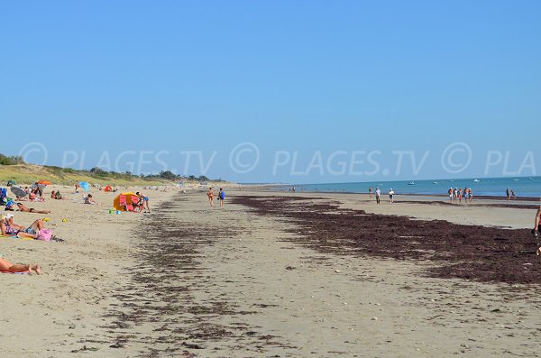 Spiaggia a La Couarde sur Mer in Francia