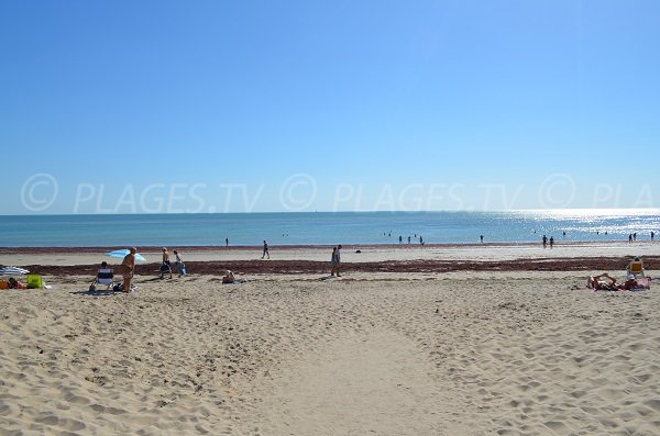 Plage des Prises sur l'île de Ré à marée basse