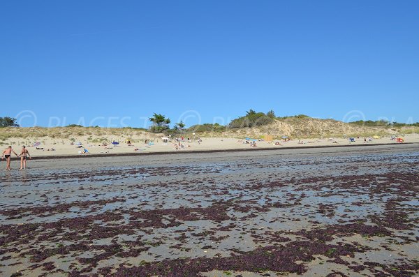 Plage des Prises au niveau du parking sur l'île de Ré