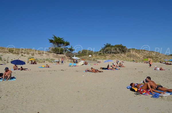 Plage des Prises à Couarde sur Mer sur l'île de Ré