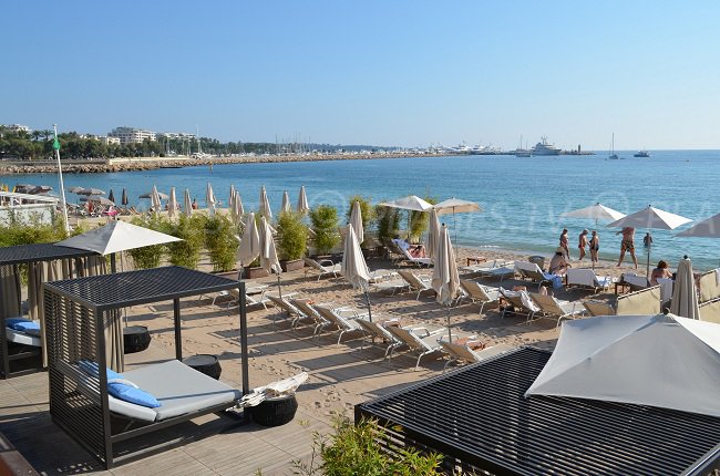 Plage privée du Martinez avec un lit comme bain de soleil