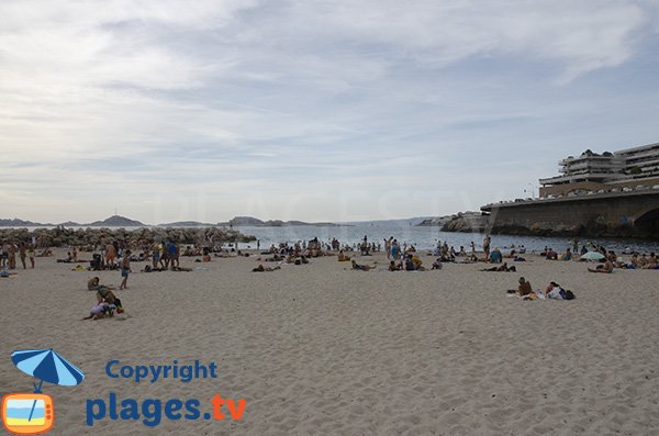 Vue sur Frioul depuis la plage du Prophète - Marseille