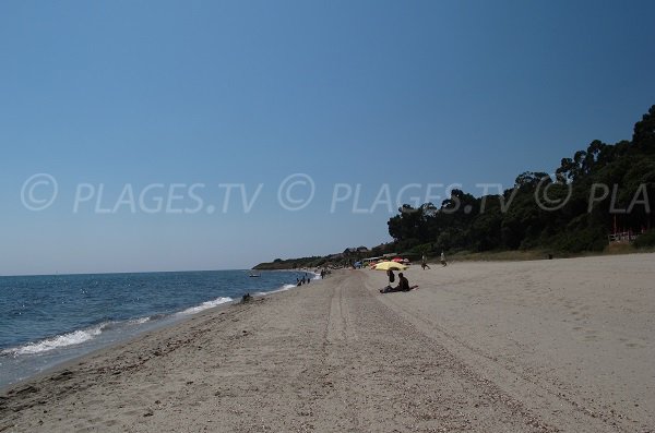 Plage de la Prunete sur la Côte Orientale Corse