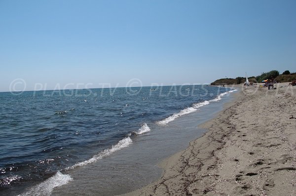 Plage à Cervione - Quartier de la Prunete