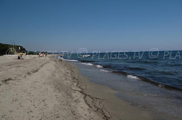 Activities on Prunete beach in Cervione - Corsica