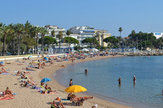 Bijou Plage avec le palm beach en arrière plan - plage publique