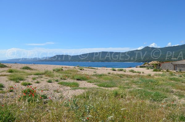 Environnement de la plage du Puraja à Propriano