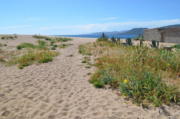 L'accesso alla spiaggia Puraja di Propriano