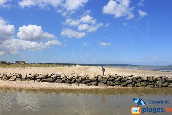 Plage de Lestre vue depuis Quinéville