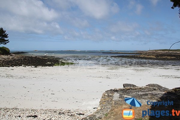 Plage de l'ile Cézon à Landéda