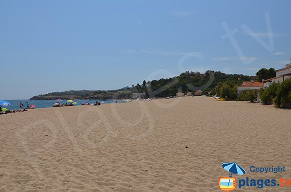 Foto della spiaggia di Racou a Argelès e cala - Francia