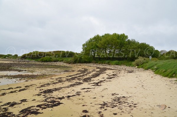 Partie nord de la plage de Raluzet - Presqu'ile de Plougrescant