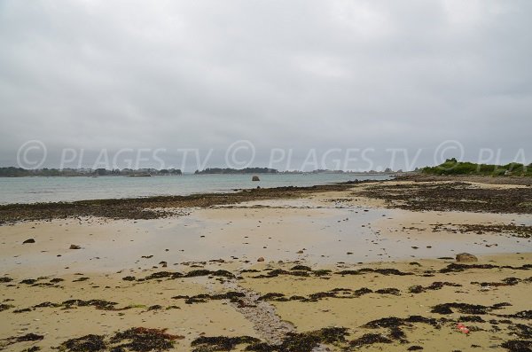 Plage de Raluzet à marée basse - Plougrescant