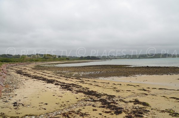 Photo de la plage de Raluzet à Plougrescant