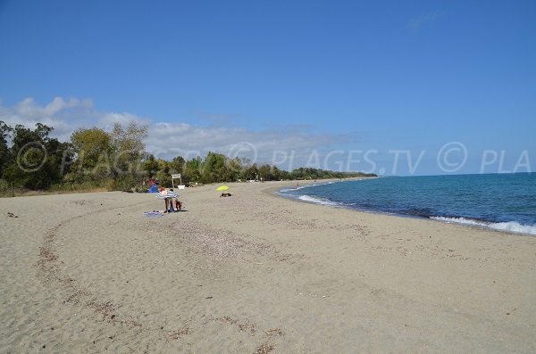 Plage de sable fin à Linguizzetta en Haute Corse