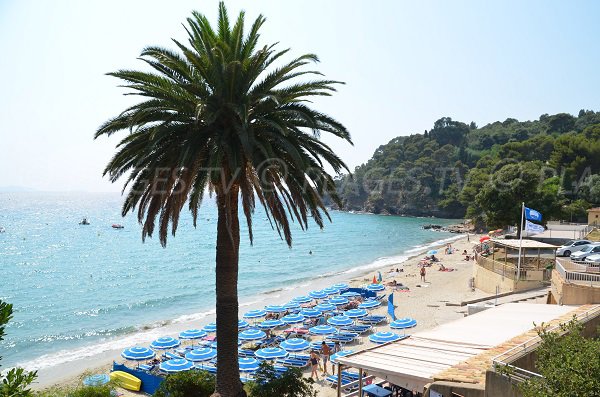 Plage du Rayol à Rayol-Canadel dans le Var