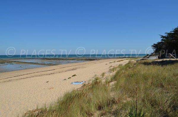 Redoute beach in Les Portes en Ré - France